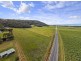 1131 Mossman-daintree Road, Rocky Point QLD 4873