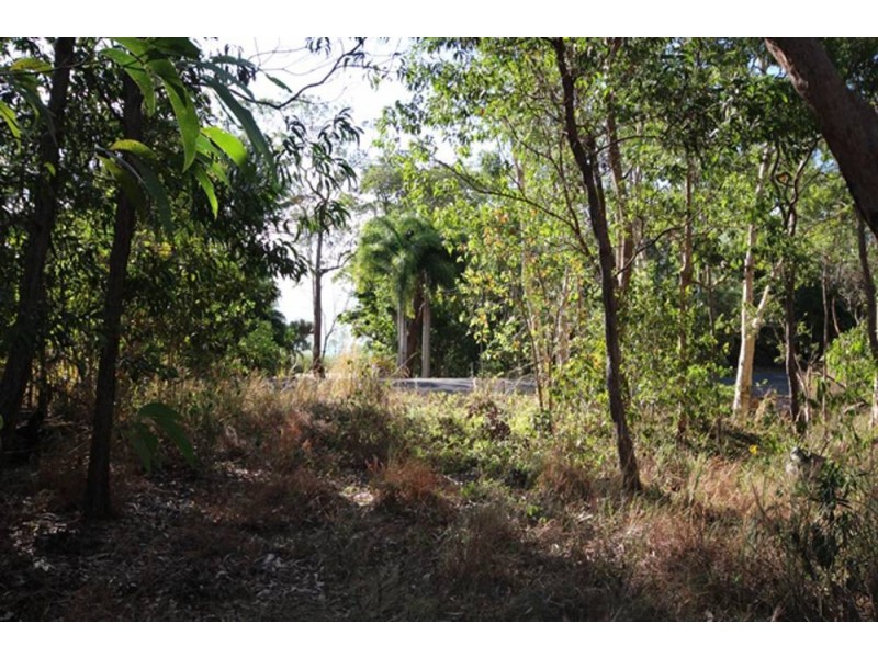 Lot 4 Pine Creek Road, East Trinity QLD 4871