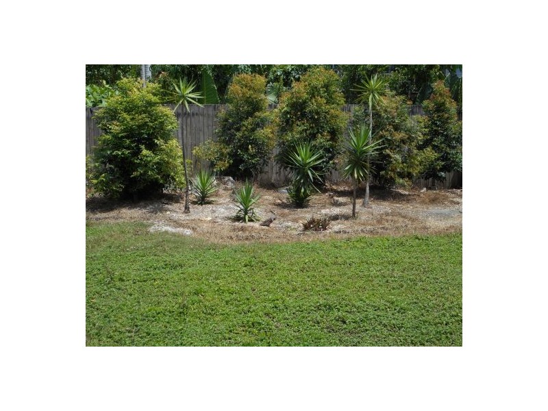 14 Forest Avenue, Edge Hill QLD 4870
