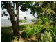 7 Caribbean Street, Holloways Beach QLD 4878