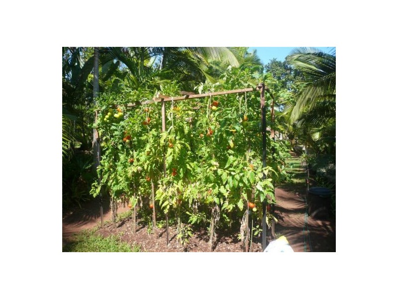 93-95 Windlass Street, Goldsborough QLD 4865