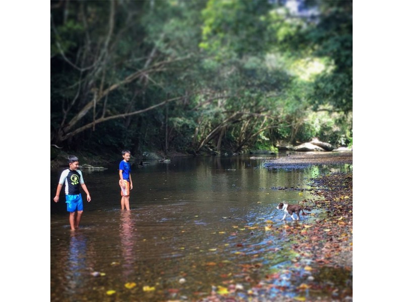 45-47 Xavier Herbert Drive, Redlynch QLD 4870