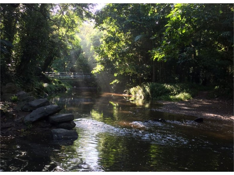 45-47 Xavier Herbert Drive, Redlynch QLD 4870