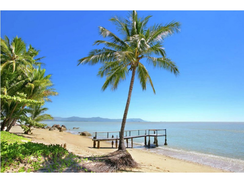 2461 Pine Creek Yarrabah Road, East Trinity QLD 4871