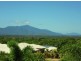 23 Barringtonia Street, Mount Sheridan QLD 4868