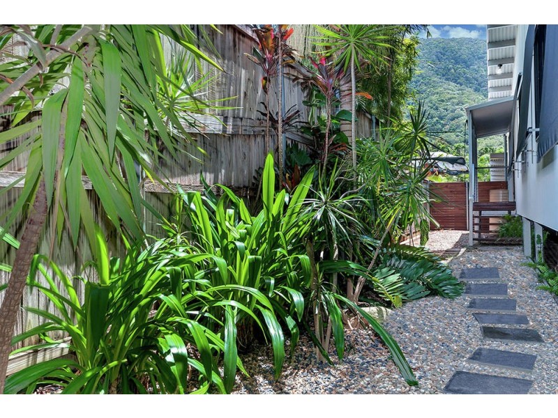 13 Everglades Street, Palm Cove QLD 4879