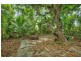 28 Grove Street, Cairns North QLD 4870