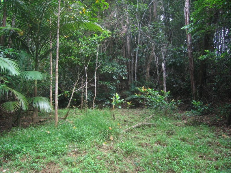 Lot 3 Discovery Drive, Kuranda QLD 4881