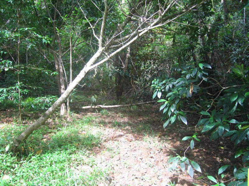 Lot 3 Discovery Drive, Kuranda QLD 4881