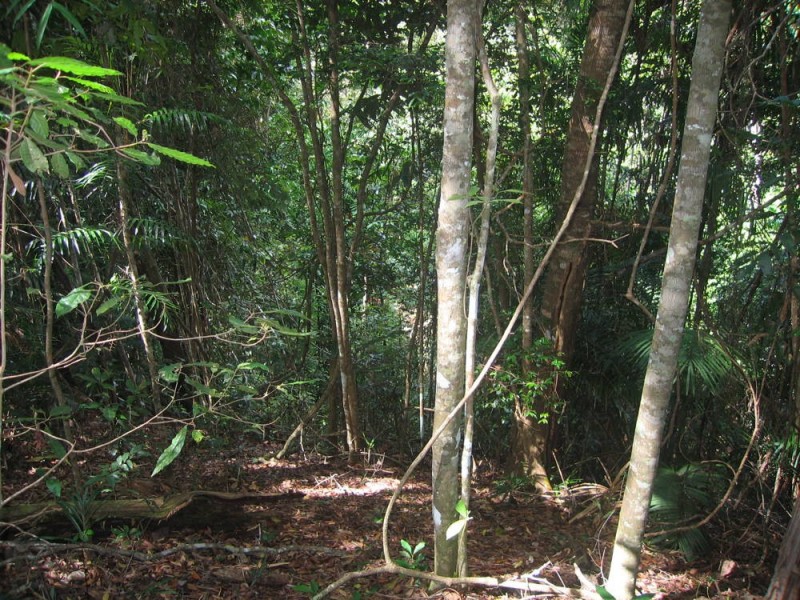 Lot 6 Discovery Drive, Kuranda QLD 4881