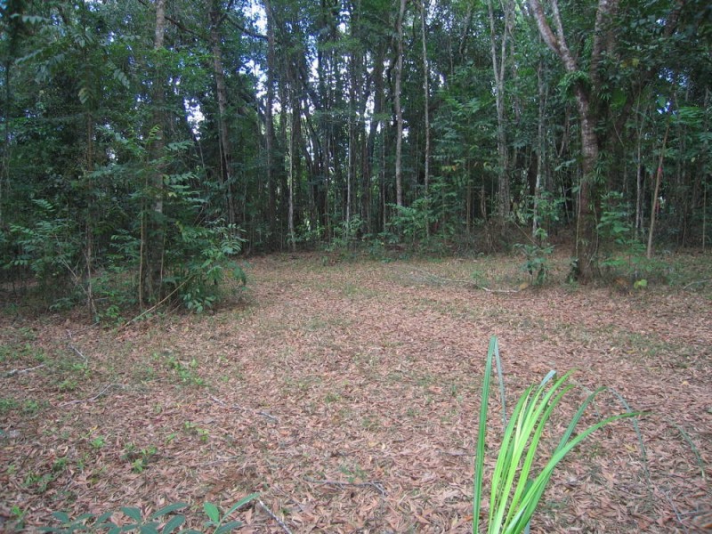 Lot 6 Discovery Drive, Kuranda QLD 4881