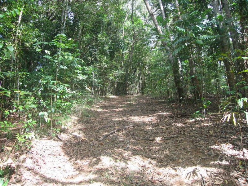 Lot 6 Discovery Drive, Kuranda QLD 4881
