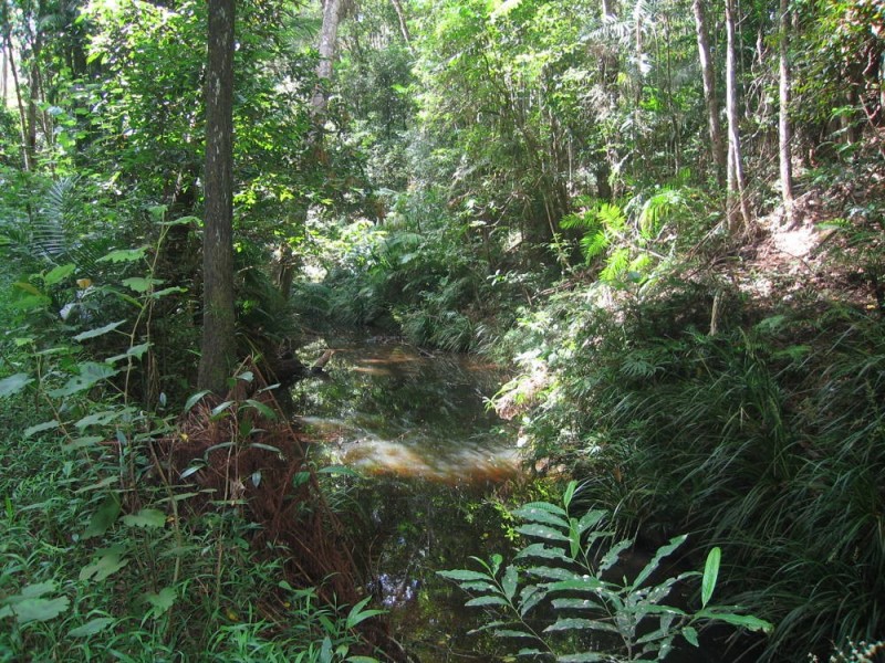 Lot 6 Discovery Drive, Kuranda QLD 4881