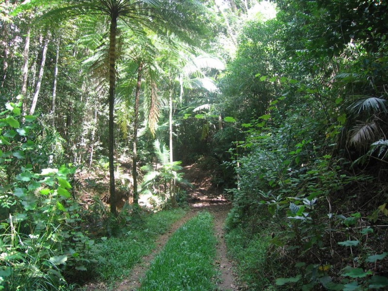 Lot 6 Discovery Drive, Kuranda QLD 4881