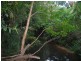 Lot 7 Discovery Drive, Kuranda QLD 4881