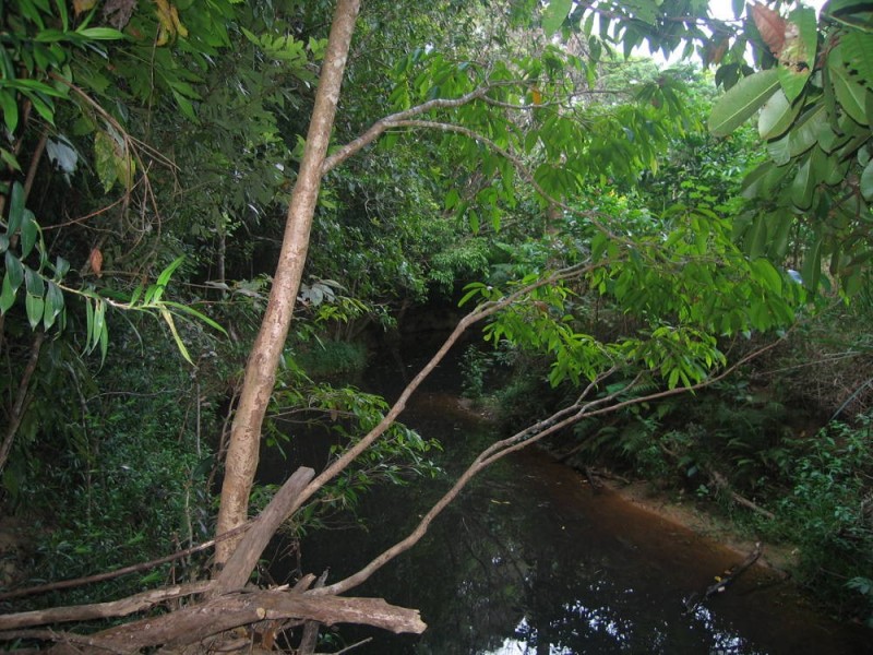 Lot 7 Discovery Drive, Kuranda QLD 4881