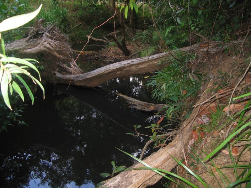 Lot 7 Discovery Drive, Kuranda QLD 4881