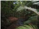 Lot 7 Discovery Drive, Kuranda QLD 4881