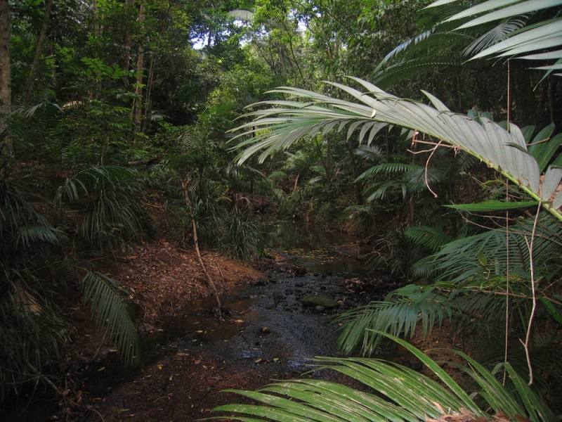 Lot 7 Discovery Drive, Kuranda QLD 4881