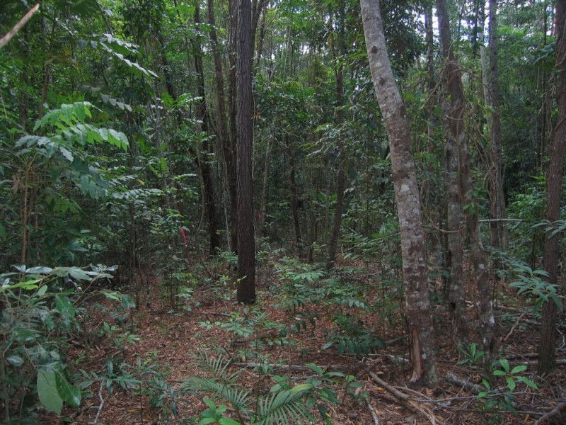 Lot 7 Discovery Drive, Kuranda QLD 4881