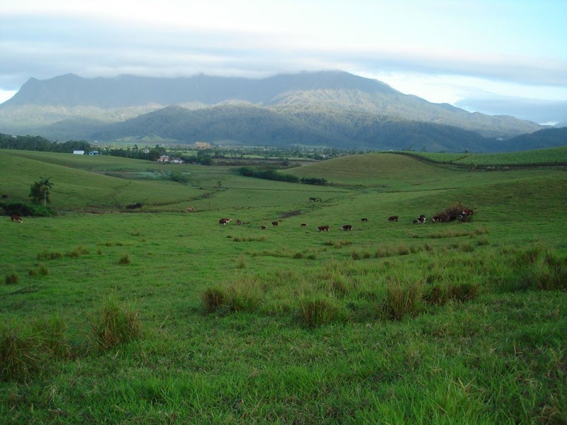 83 Knust Road, Woopen Creek QLD 4871