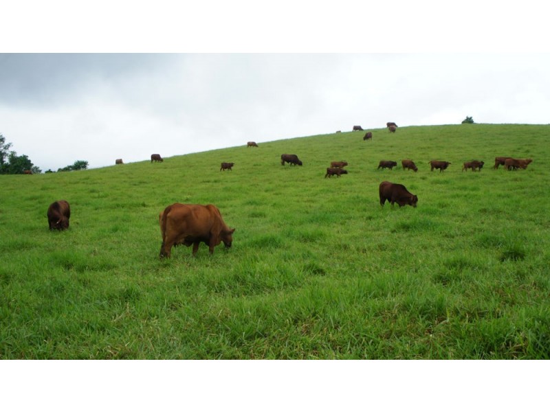 83 Knust Road, Woopen Creek QLD 4871