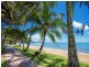 57 Terebra Street, Palm Cove QLD 4879