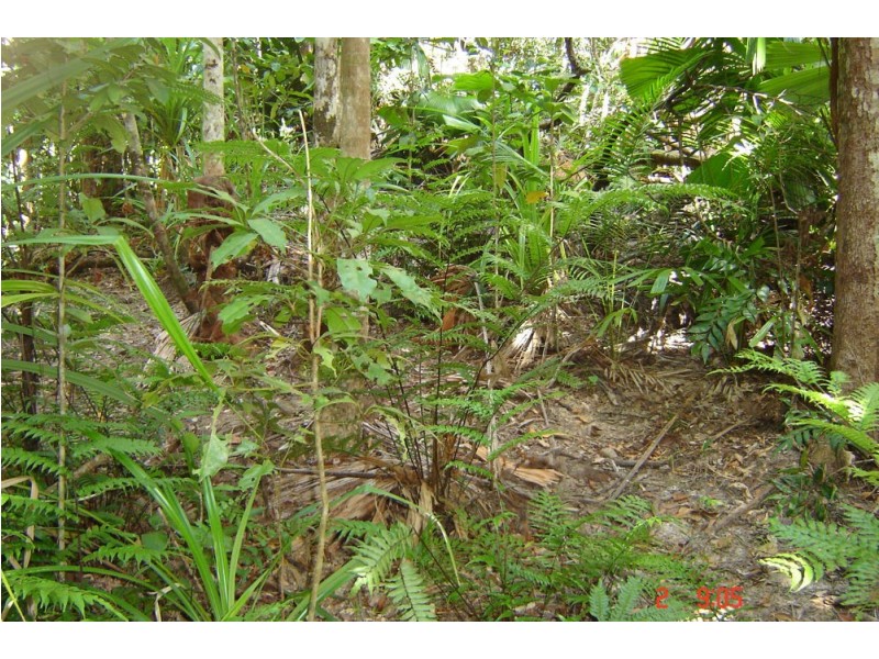 66 Greendale Court, Jubilee Heights QLD 4860