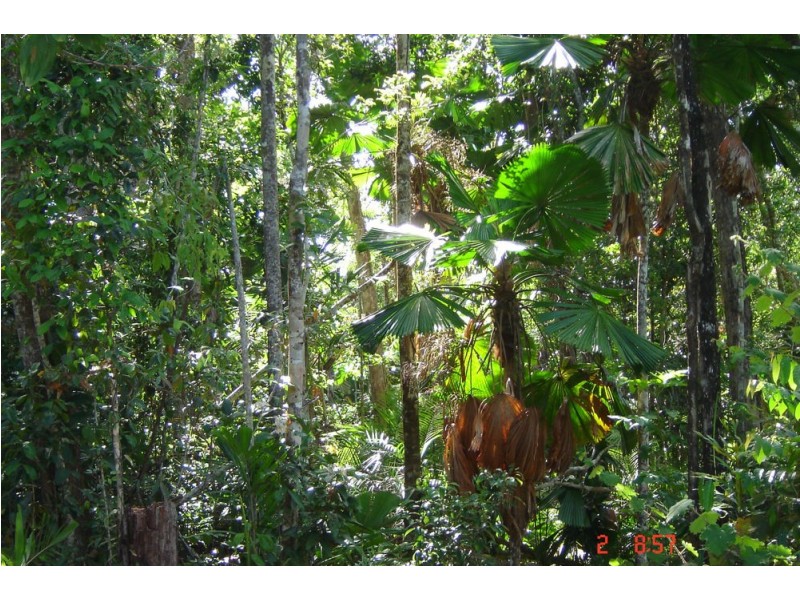 66 Greendale Court, Jubilee Heights QLD 4860