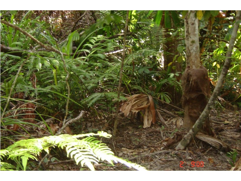 66 Greendale Court, Jubilee Heights QLD 4860