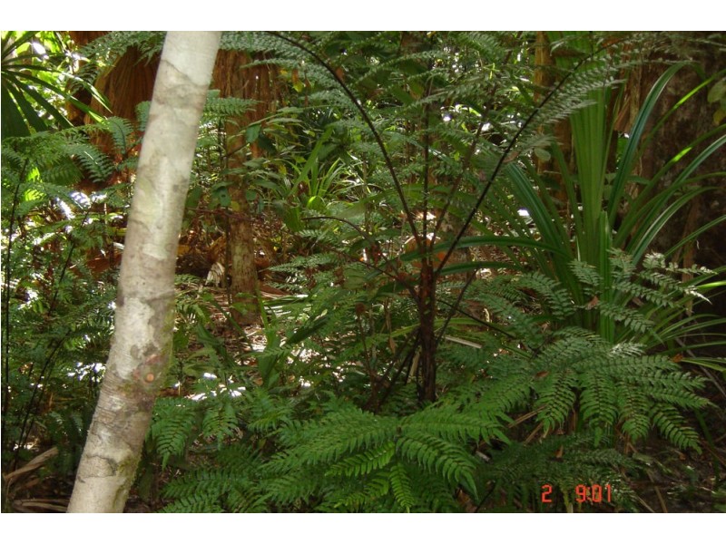 66 Greendale Court, Jubilee Heights QLD 4860