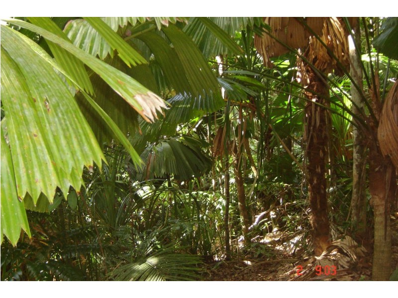 66 Greendale Court, Jubilee Heights QLD 4860