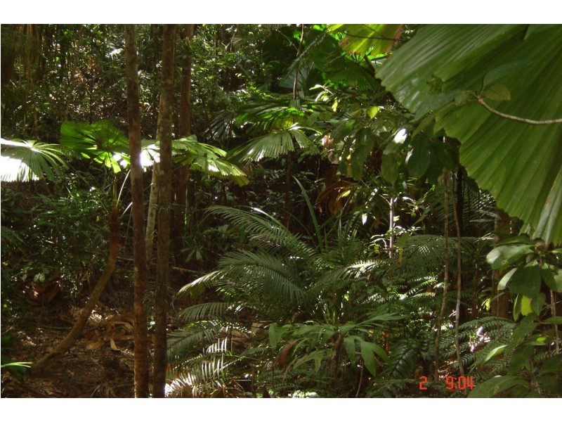 66 Greendale Court, Jubilee Heights QLD 4860