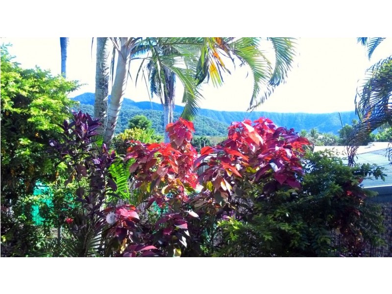 3 Mendi Close, Trinity Beach QLD 4879