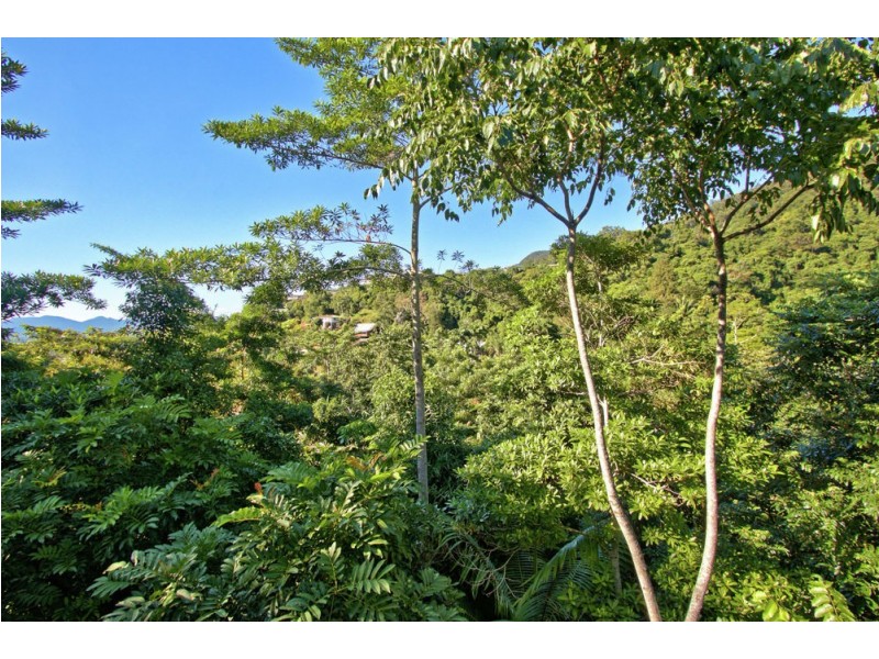304 Toogood Road, Bayview Heights QLD 4868