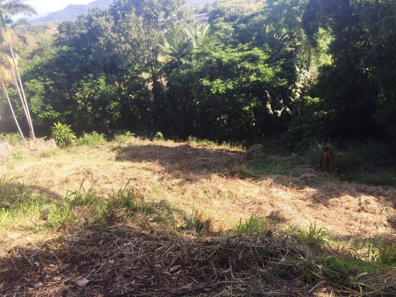 Lot 2 RAY STREET, Yorkeys Knob QLD 4878