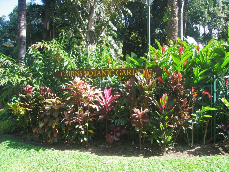 15 Hall Street, Edge Hill QLD 4870