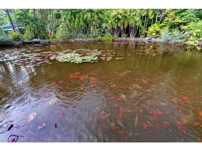 69863 Bruce Highway, Aloomba QLD 4871