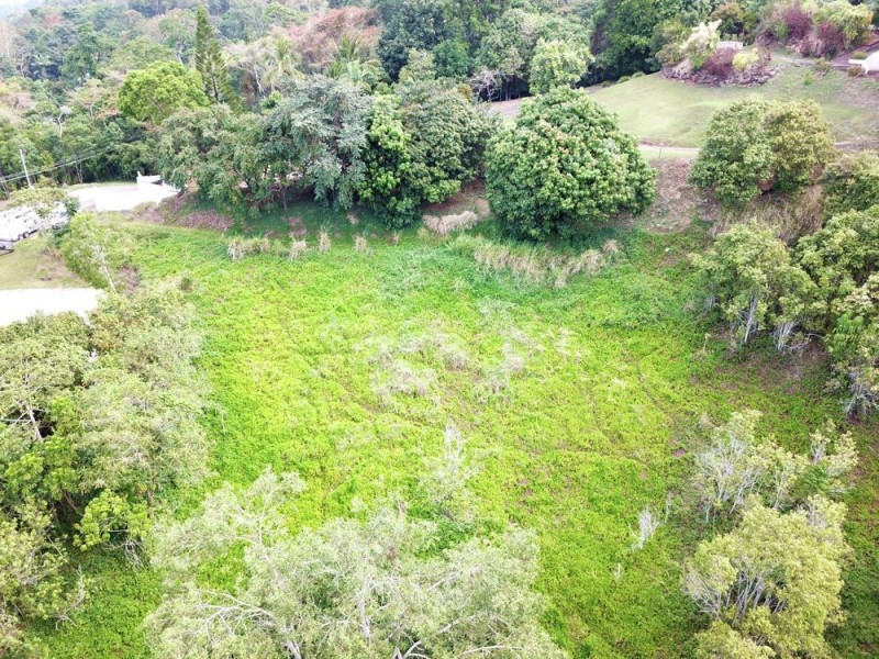 29-31 Mount William Close, Redlynch QLD 4870