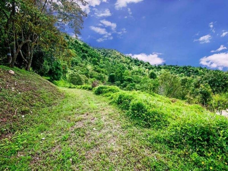 29-31 Mount William Close, Redlynch QLD 4870