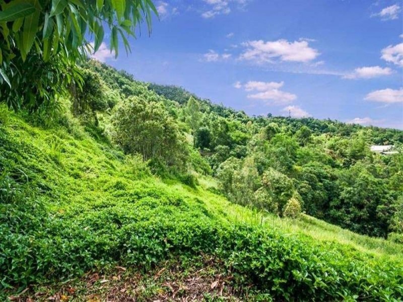 29-31 Mount William Close, Redlynch QLD 4870