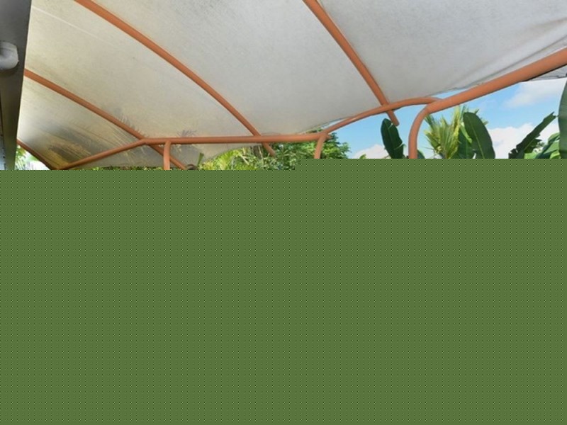 11 Hodel Street, Whitfield QLD 4870