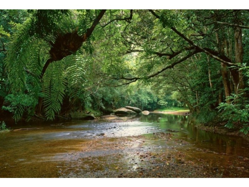 Lot 36 Xavier Herbert Drive, Redlynch QLD 4870