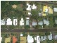 93 Cassowary Street, Freshwater QLD 4870