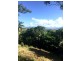 Lot 2 Ray Street, Yorkeys Knob QLD 4878