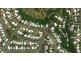 46 Heavey Crescent, Whitfield QLD 4870