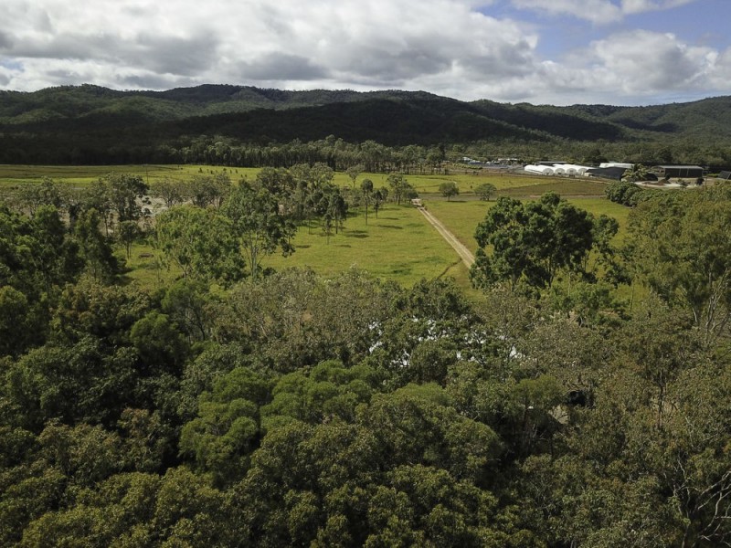 533 Koah Road, Koah QLD 4881