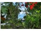 28 Collins Avenue, Edge Hill QLD 4870