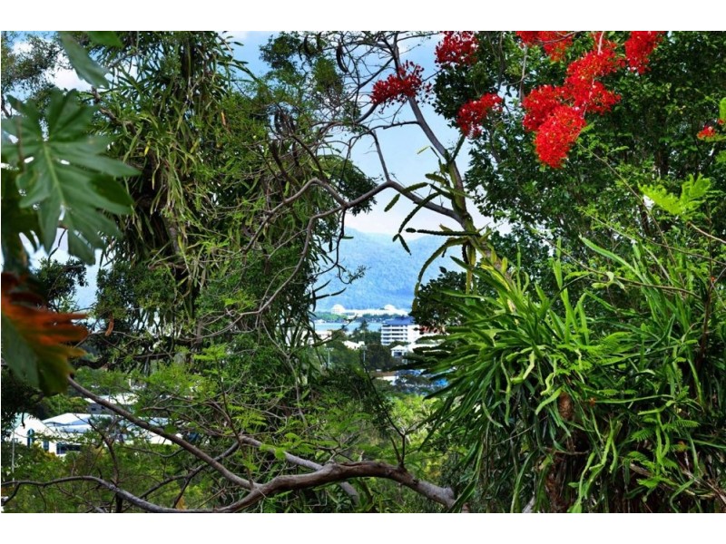 28 Collins Avenue, Edge Hill QLD 4870