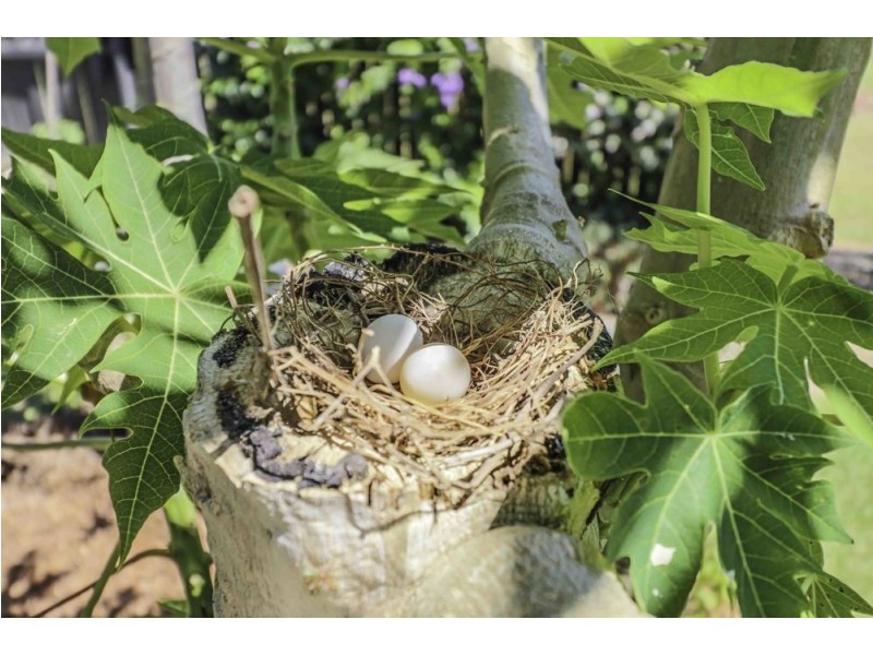 124/2-6 Lake Placid Road, Caravonica QLD 4878